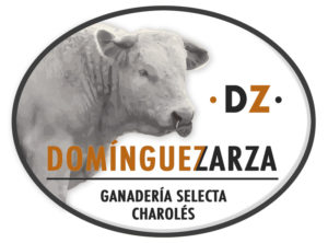 Digitaliza Tu Negocio® - Logo Ana